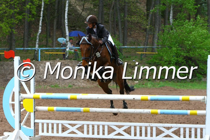 005L4171_Garantie T_Stil L.JPG